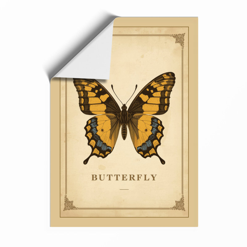 Butterfly Study Botanical - Print, Unframed, A4 - 29.7 x 21.0 cm
