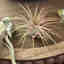 Customer photo 4 of 4