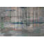 Parvez Taj - Wrapped Canvas Print-19838613