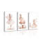 3 Piece Wrapped Canvas Wall Art