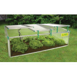 BioStar Cold Frame 31.2" W x 59.04" D