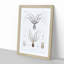 Octopus Illustration by A.A. Gould - Picture Frame Painting Print-55723665-55723668