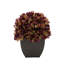 Arrangement d'hortensias en prune-1553681580-1488260805