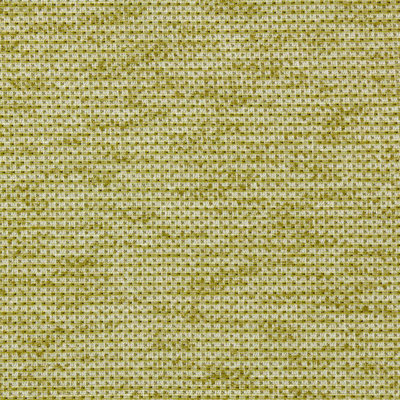 Aelius Fabric