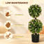 90cm Plant