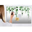 Magnetic Glass Dry Erase Board