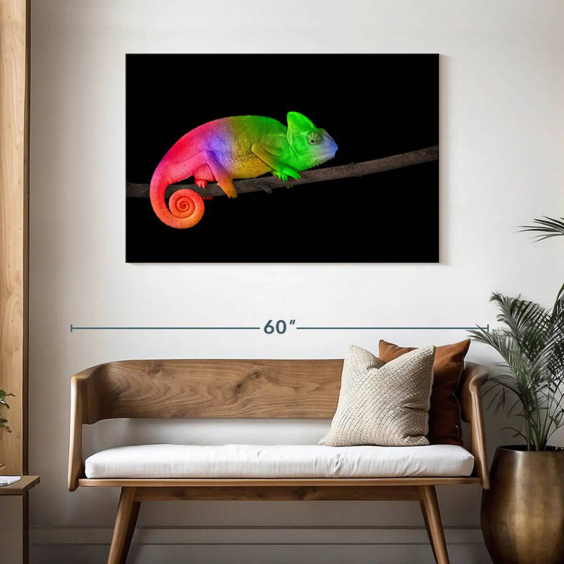 Caméléon arc-en-ciel