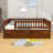 Rowanne Wooden Daybed Wood Bed with Two Drawers and Fence-1643981592-1643981594