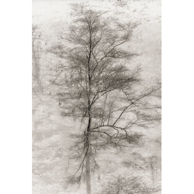 Arbre triptyque II