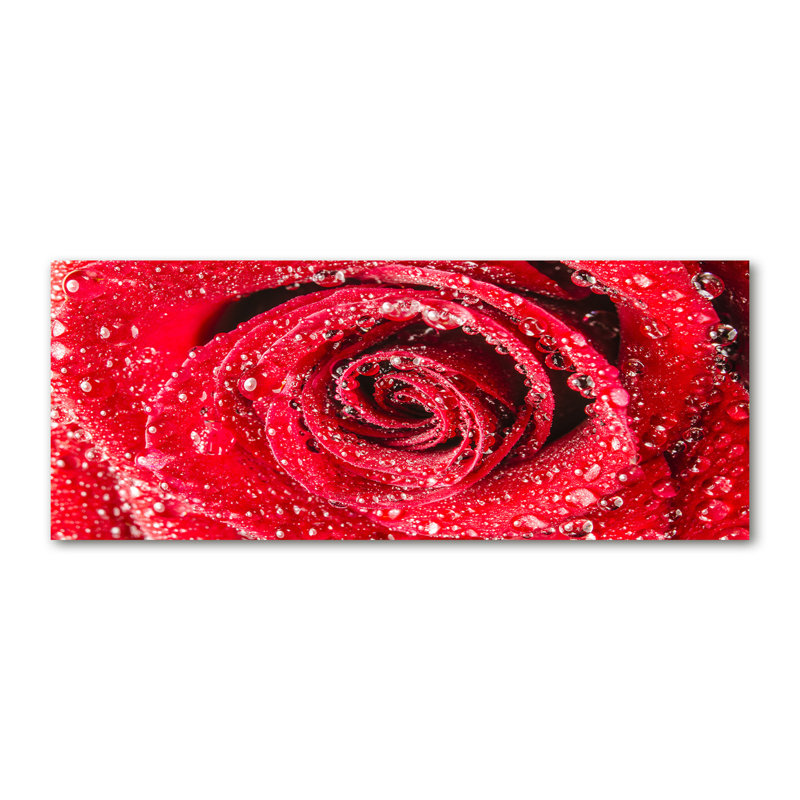 Water Drops On A Rose - No Frame Print on Canvas