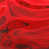 Pure Resin Red selected