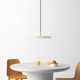 Ivan Single Light Metal Dimmable LED Pendant