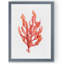 Reproduction d’art sur toile, "corail varech i" par paul cezanne-cadre photo-1798968530-1798968531