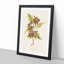 Boxelder Maple Leaf - Framed Print-55679071-55679074
