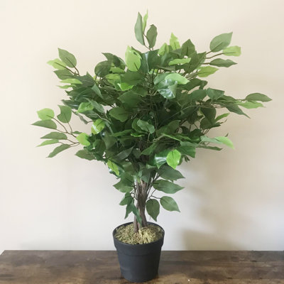 Anlin 60cm Faux Ficus Tree in Pot