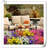 Dahlia Arrangement-527808593