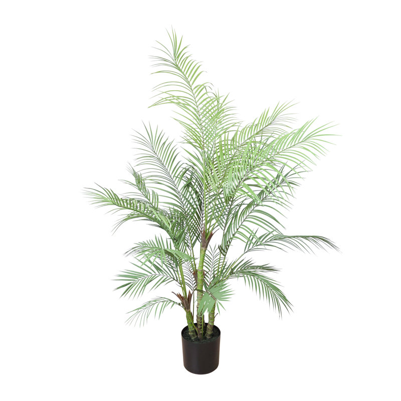 Outdoor UV Rated Kentia Palm Drop-In