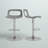 Dressler Modern Swivel Adjustable Height PP Bar Stool with Low Back, Set of 2-391568899