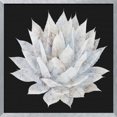 "Agave Agave" Framed Textured Wall Art