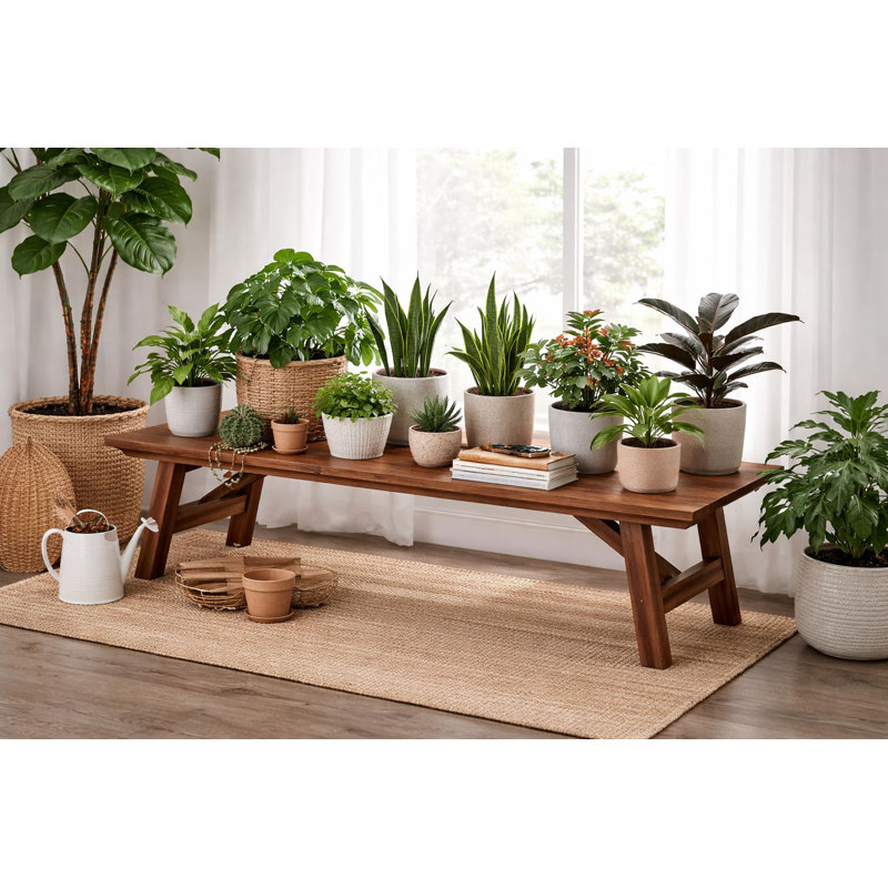 Catelynn Plant Stand