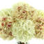 Arrangement floral hortensias en vase