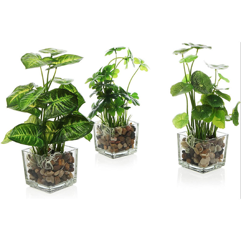 22cm Faux Evergreen Plant in Glass Pot