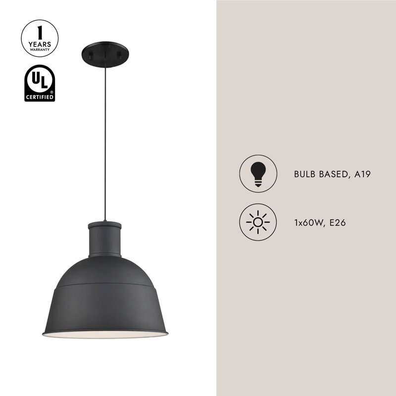 Irving 1 - Light Pendant, Black, 14" H x 16" W x 16" D