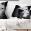 Coussin White Horse