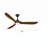Modern Smart Ceiling Fan With Led Light-1133478860