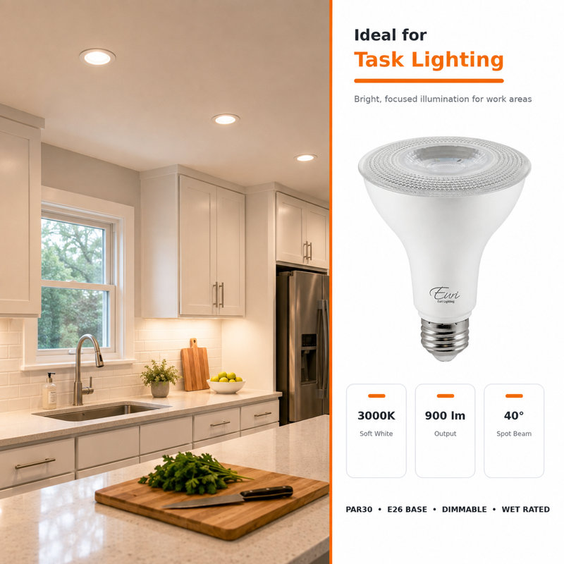Ampoules DEL PAR30 Euri Lighting, 10 W, 900 lm, équivalent 75 W, 3000 K, culot E26, dimmables, homologuées CEC/JA8/UL, ensemble de 2