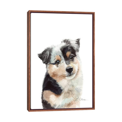 Chiot berger australien - reproduction d'art