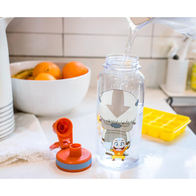 Avocat Chibi Aang & Appa 32 oz. Verre à boire en plastique
