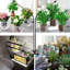 Symple Stuff Grow Light