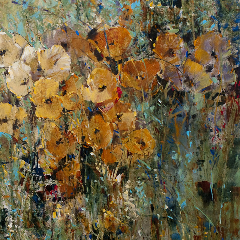 Amber Poppy Field II by Tim OToole - Wrapped Canvas Painting, 122cm H x 122cm W