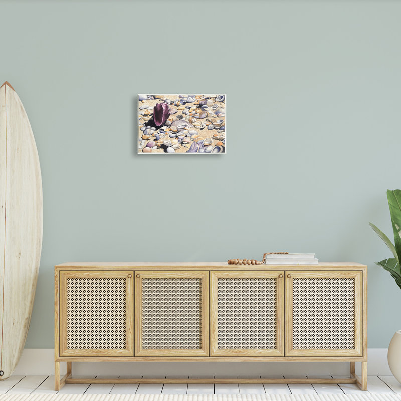 «Seashells on Coast» par Christine Reichow, H 13 po x l 19 po