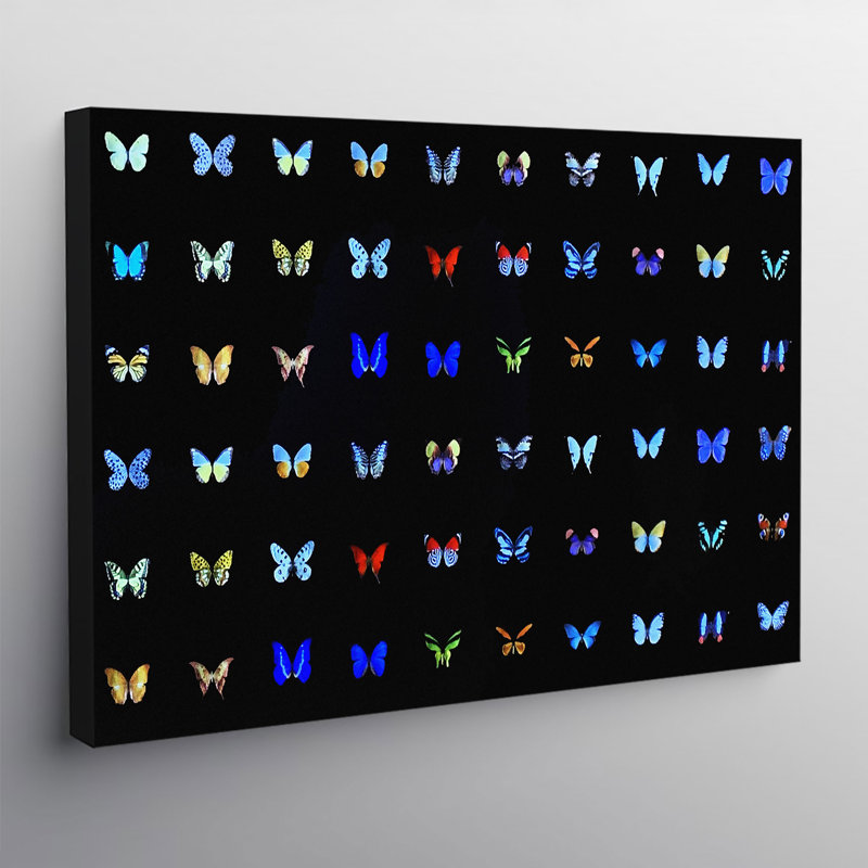 Butterfly Collage Multicolour - Wrapped Canvas Print, 61cm H x 81cm W x 4cm D