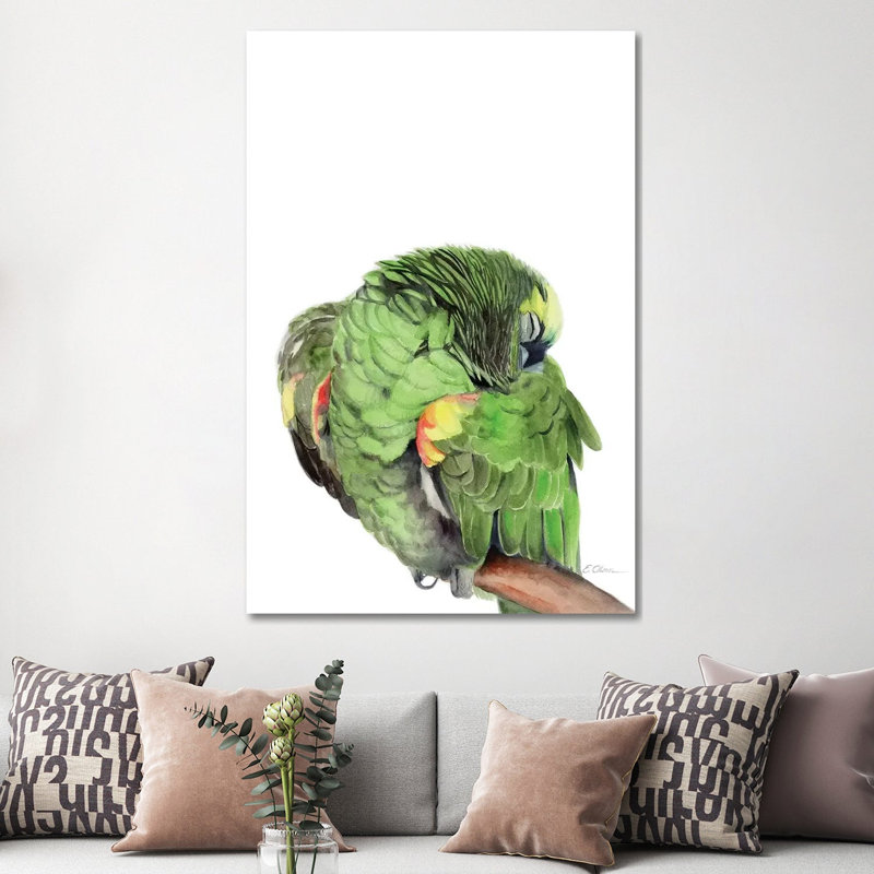 Sleeping Amazon Parrot by Watercolor Luv - Wrapped Canvas Print, 152.5 cm H x 101.5 cm W