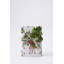 Green Grocer Wrapping Paper