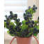Framboise rouge artificielle 16,5 po-136068686