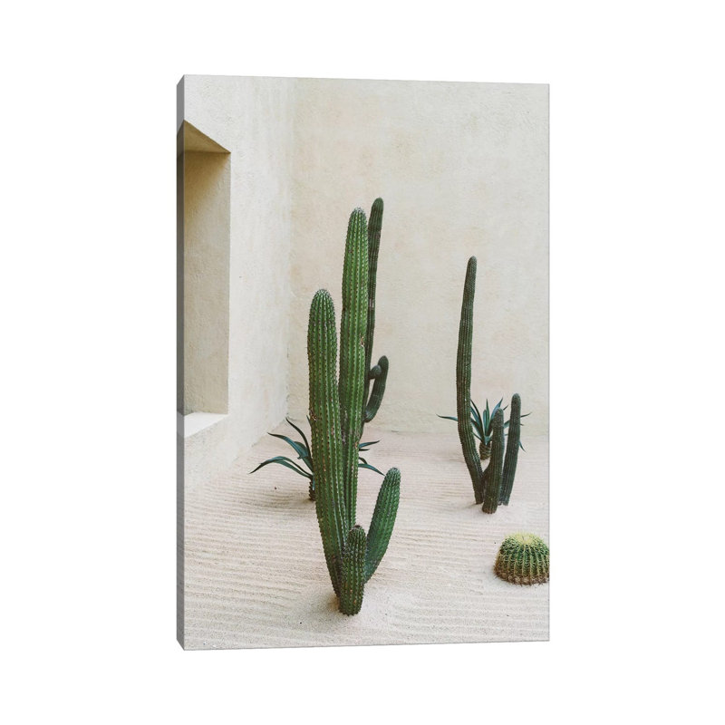 «Cabo Cactus VI» par Bethany Young, reproduction de photo sur toile tendue, H 60 po x l 40po x P 1,5 po