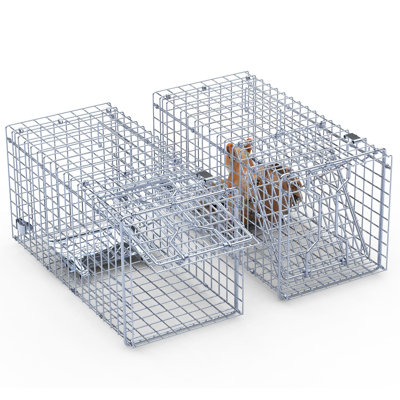 Cage à piège 18 po x 8 po x 10 po Humane