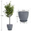 Pots ronds en résine artificielle avec plateau d'eucalyptus artificiel et résine-625293331-627181857