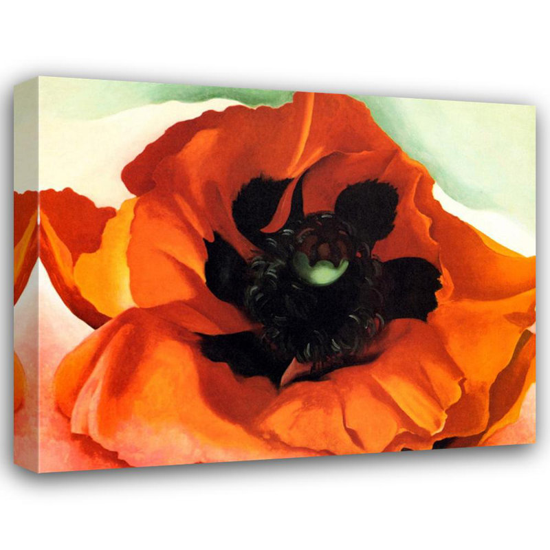 Poppy, 19" H x 24" W