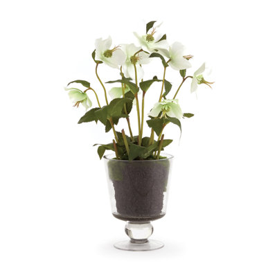Arrangement floral Alina Hellebores Ranunculus