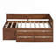 Lit de jour moderne simple avec tiroirs et tablettes-203598455-203598457