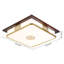 Ceiling Light,