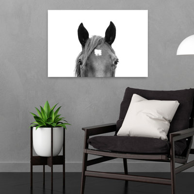 «Peeking Horse», art mural cheval contemporain