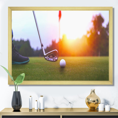 " Golf Swing Excellence I "