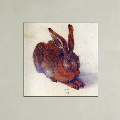 Albrecht Dürer - Wrapped Canvas Print