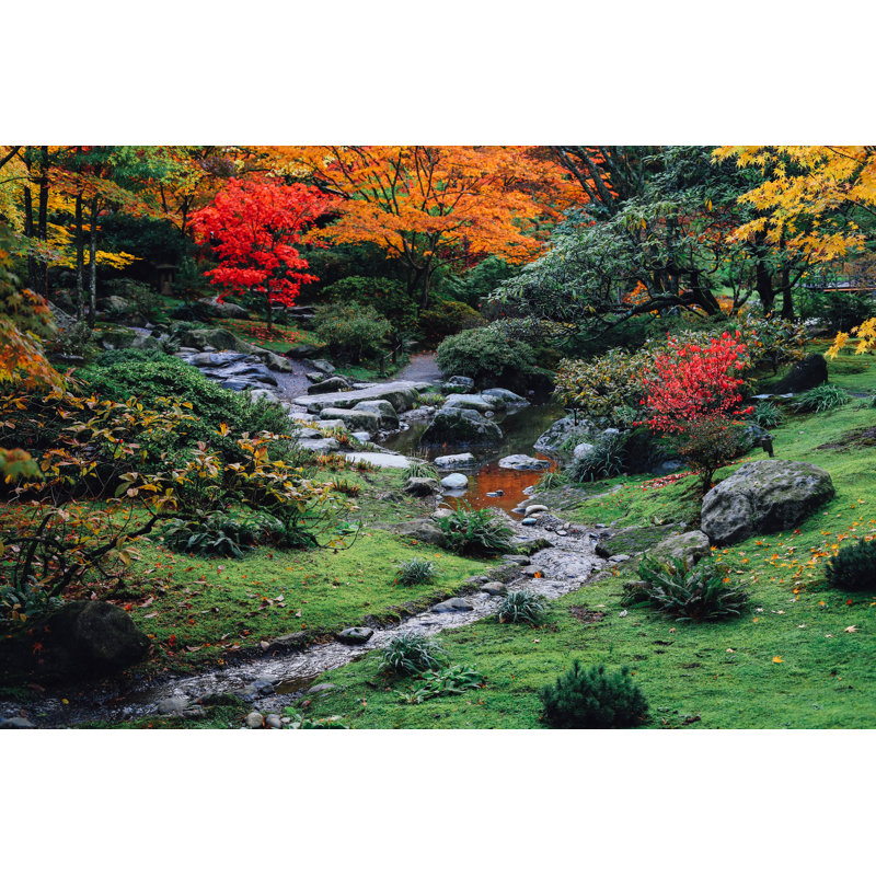 Fusco Autumn Garden by July7th - Wrapped Canvas Print, 30cm H x 46cm W x 3.8cm D